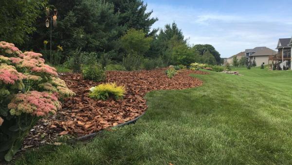 Lush Landscape & Irrigation Inc.