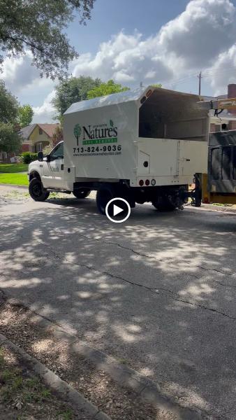 Nature's Tree Removal