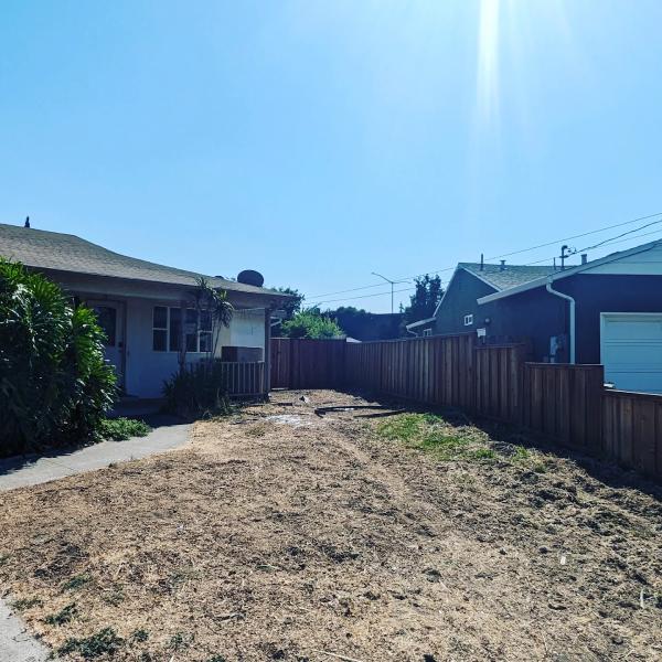 Arlandtree