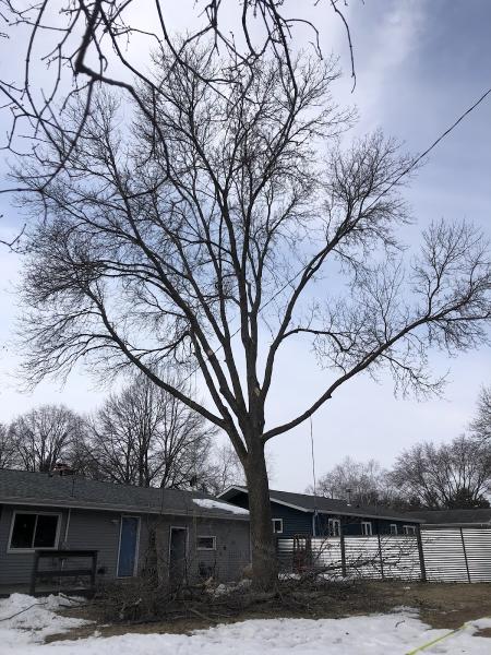 McClellan Tree Service