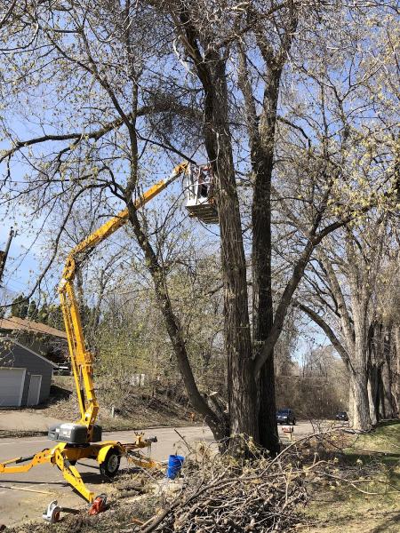 McClellan Tree Service