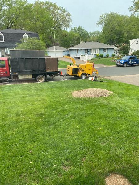 McClellan Tree Service