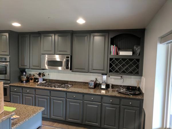 Chameleon Painting LLC