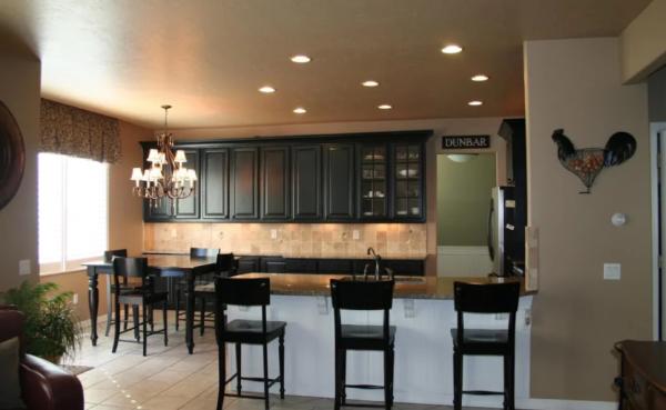 Chameleon Painting LLC