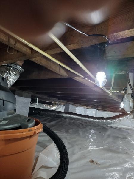 Atlanta Mold Cleaning & Mold Remediation