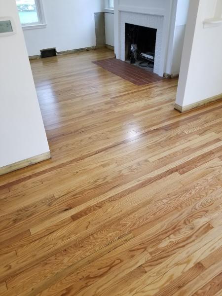 Mr. B's Carpet