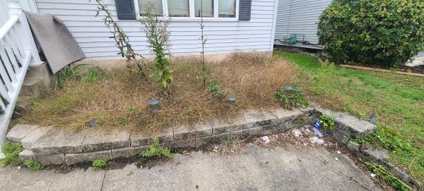 Lawn Chores Outdoor Services Dba Ghostdumpsters 570