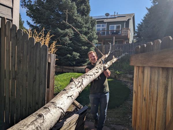 Geckos Lawn & Tree Care