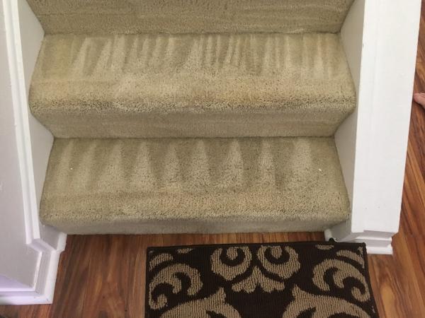 Steam Clean Florida LLC