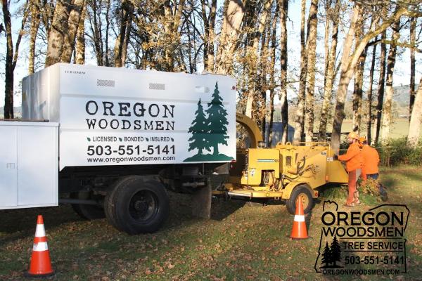 Oregon Woodsmen Tree Service