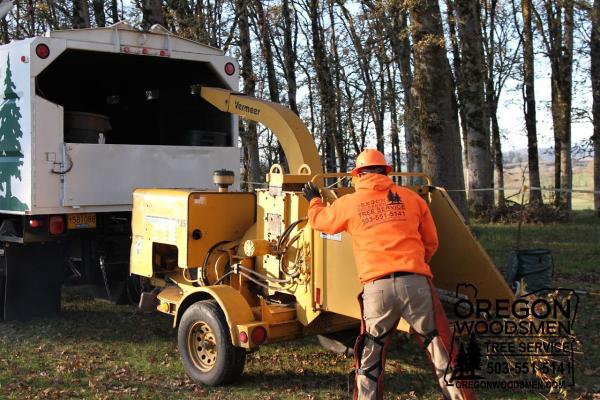 Oregon Woodsmen Tree Service