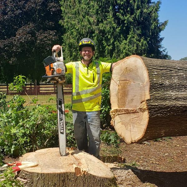 Tim's Eugene Springfield Tree Removal Service