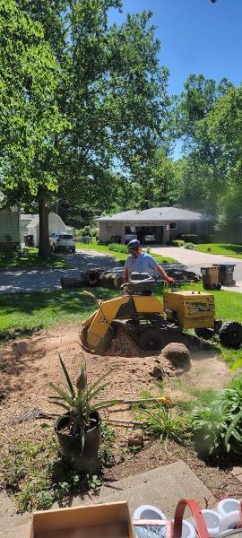 True Blue Tree Service LLC
