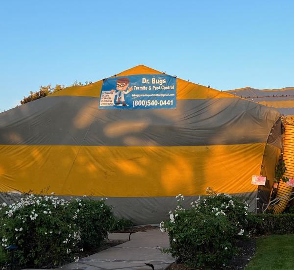 Dr. Bugs Termite & Pest Control