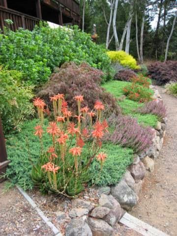 Susie Dowd Markarian Landscape Design