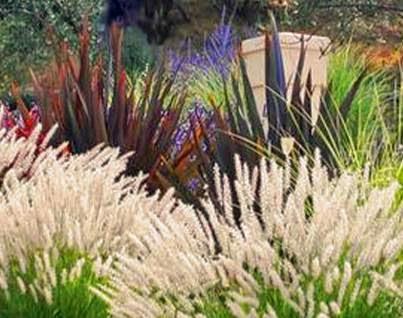 Susie Dowd Markarian Landscape Design