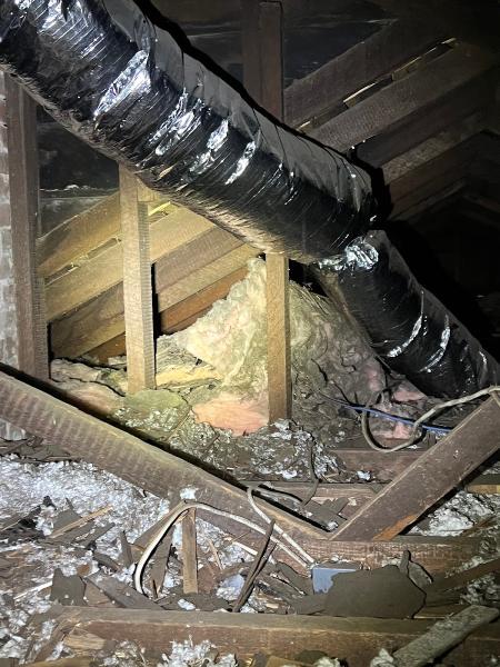 Supreme Pest Elimination