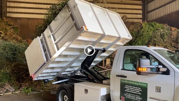Carrillos Gardening Services
