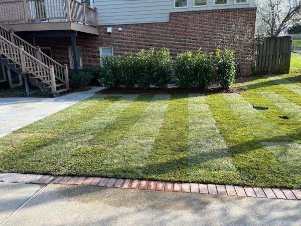 Joma Lawn & Tree Care