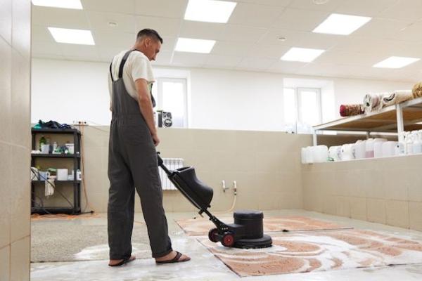 Top Washington Carpet Cleaning