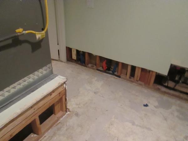 Moisture and Mold Detection