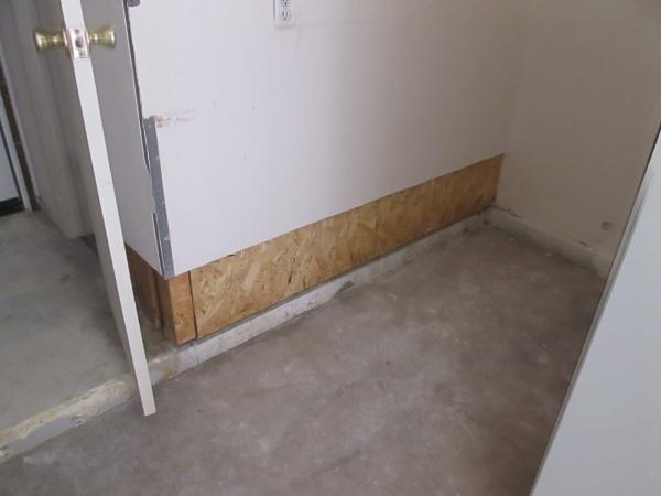 Moisture and Mold Detection