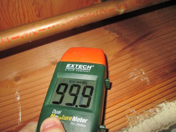 Moisture and Mold Detection