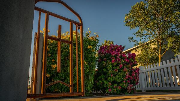 Paradise Landscape Creations
