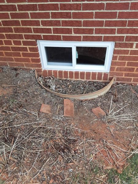 Dog Day Renovations