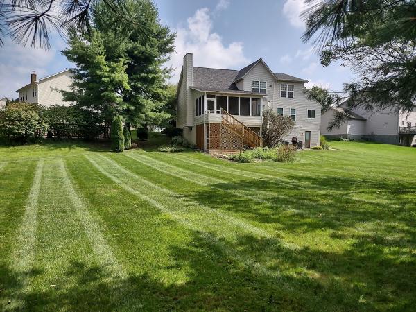 Jones Lawn and Handyman Services