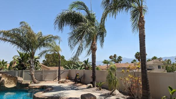 Ortega's Jr Tree Care LLC
