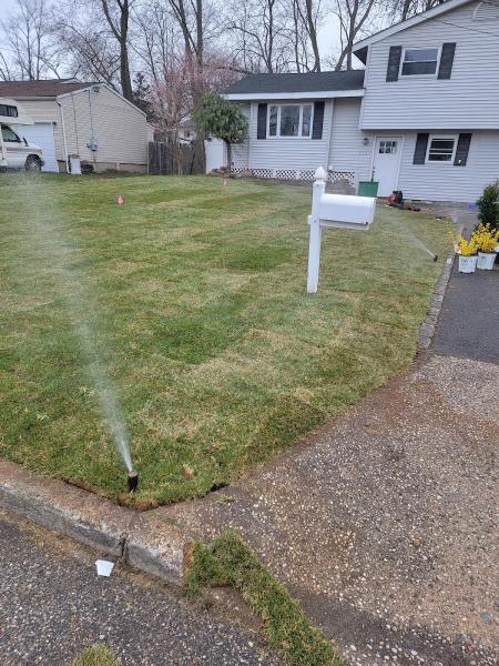 Fresh Green Grass Lawn Sprinklers