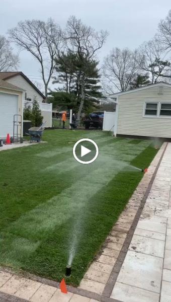 Fresh Green Grass Lawn Sprinklers