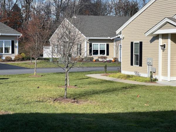 Carlino Landscaping
