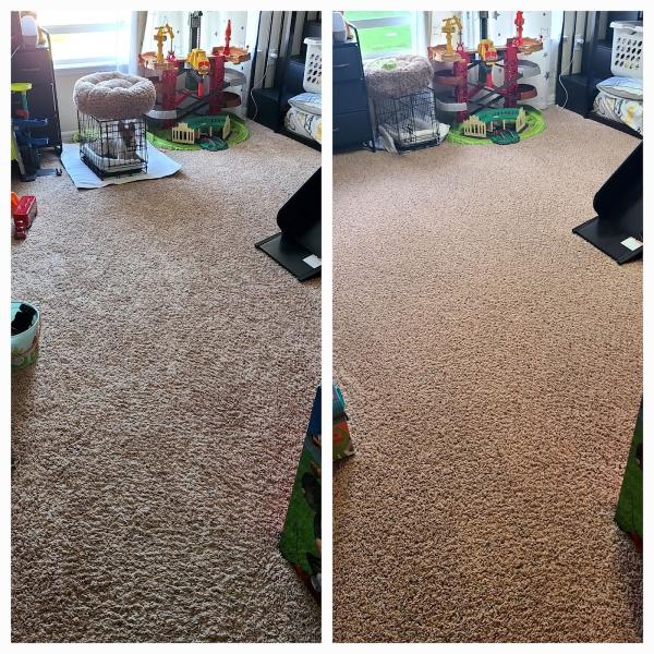 All Solutions Floor Cleaning LLC