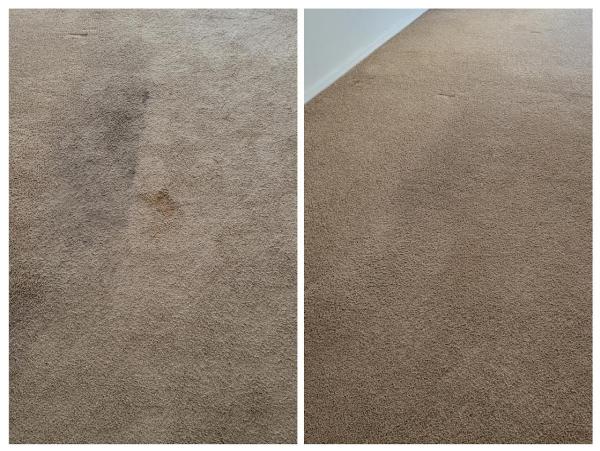 All Solutions Floor Cleaning LLC
