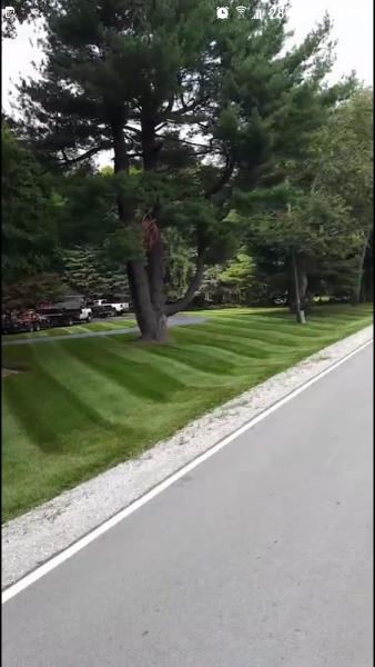 Thomas Lawn & Landscape