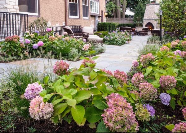 Greenwise Organic Lawn Care