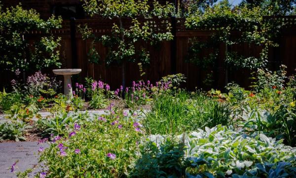 Greenwise Organic Lawn Care