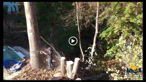Natures Frontier Landscaping Construction & Property Management