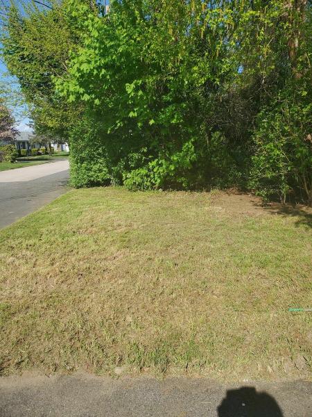 Natures Frontier Landscaping Construction & Property Management