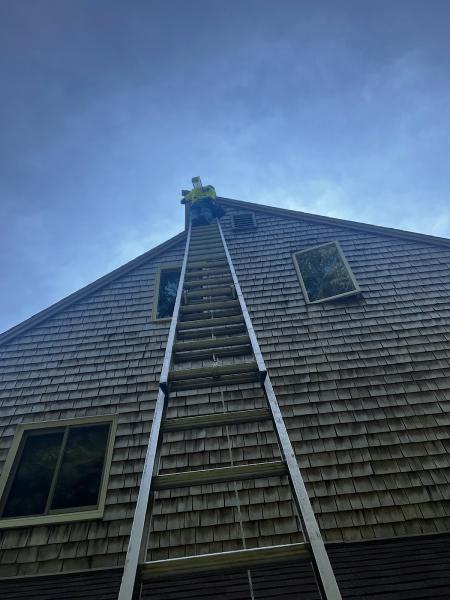 Expert Wildlife Removal