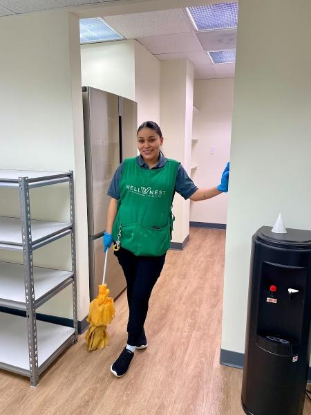 Wellnest Professional Cleaning