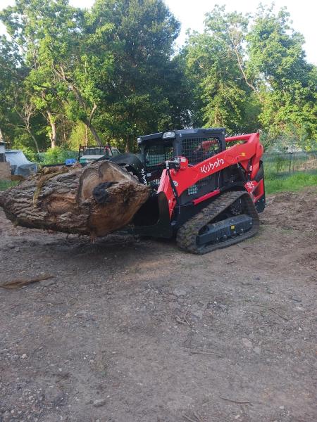 Gulf Coast Tree Removal