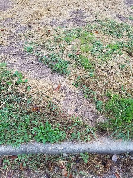 Brothers Landscaping