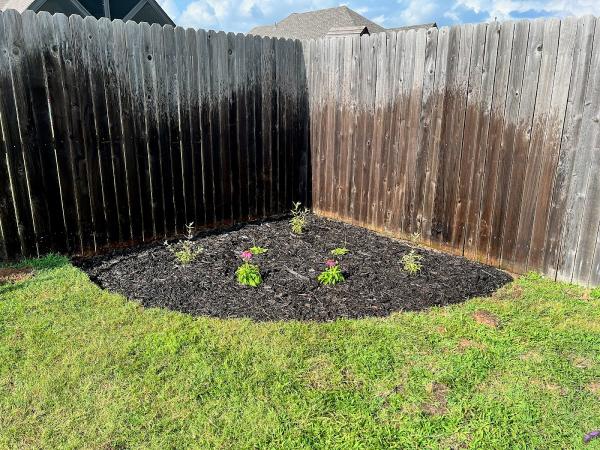 Wired Lawn
