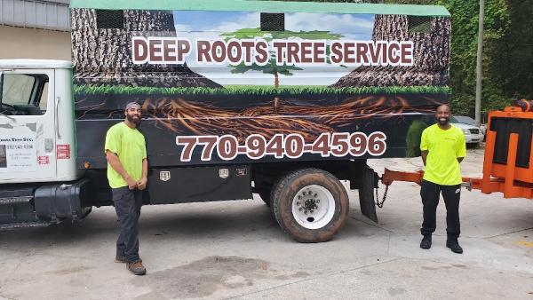 Deep Roots Tree Svc