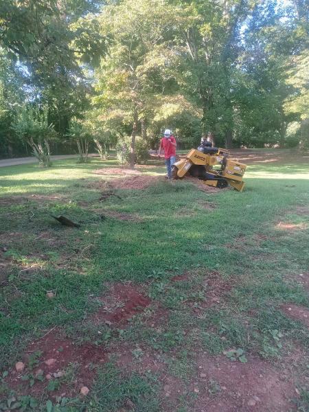 Neese Stump Grinding