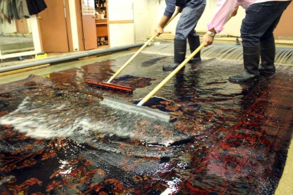 Elegant Rug Cleaning