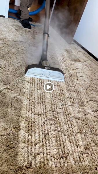 Today's Carpet Care